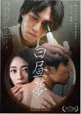 民国谍战小说《雾中花信》封面